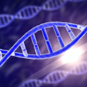 dna