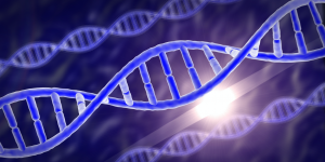 dna