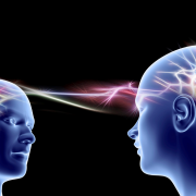 mirror neurons